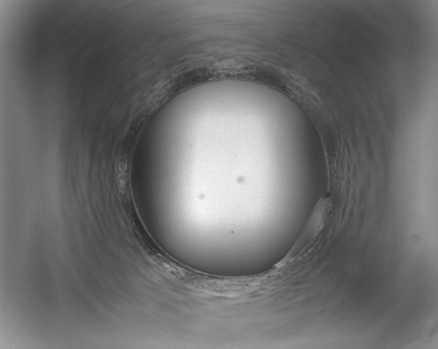 X0000054390033200508191950