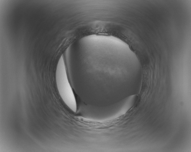 X0000054390035200508191950