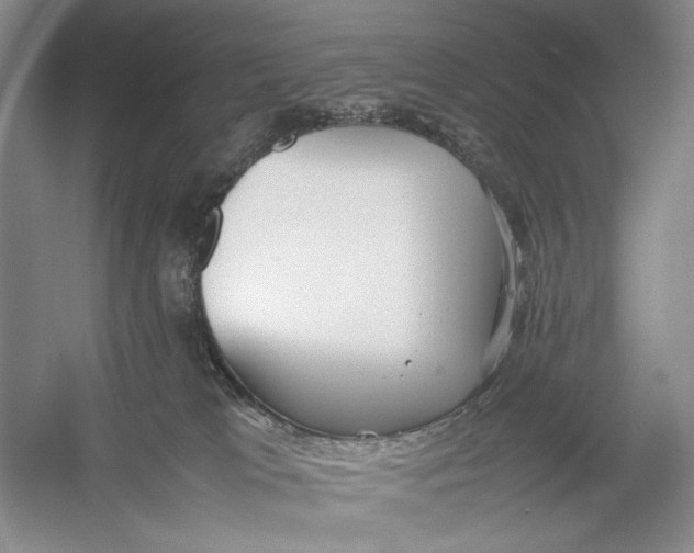 X0000054390037200508191950