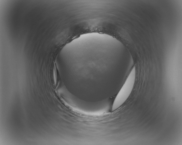 X0000054390039200508191950