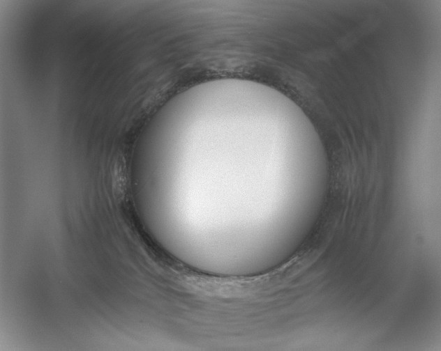 X0000054390040200508191950