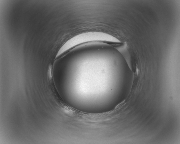 X0000054390041200508191950