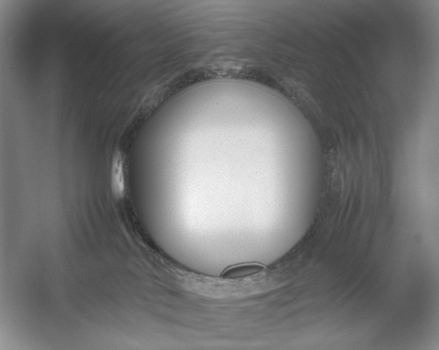 X0000054390042200508191950