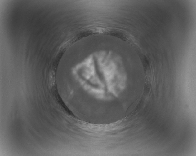 X0000054390043200508191950