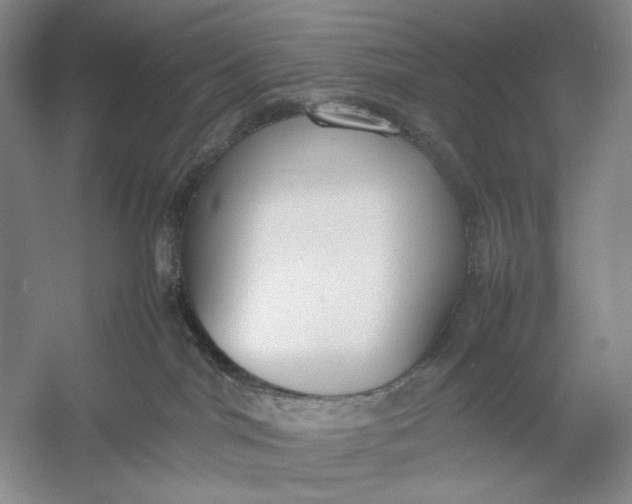 X0000054390044200508191950