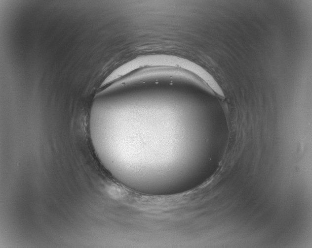 X0000054390045200508191950
