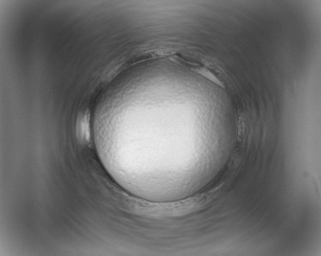 X0000054390046200508191950