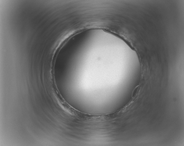 X0000054390050200508191949