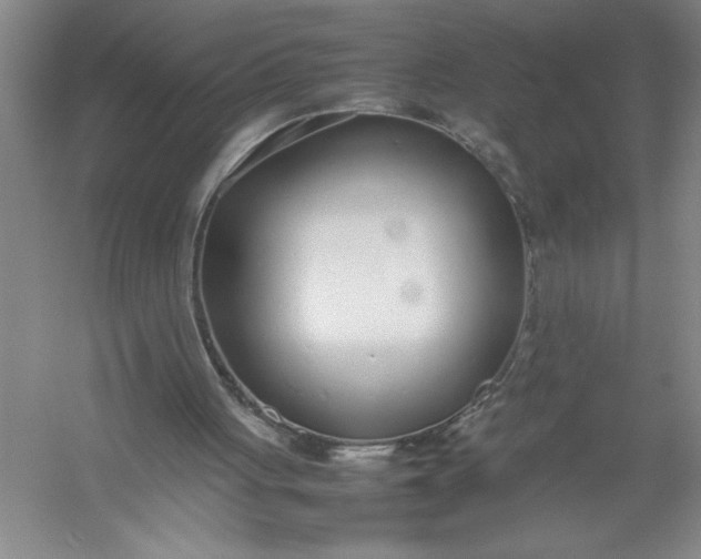 X0000054390051200508191949