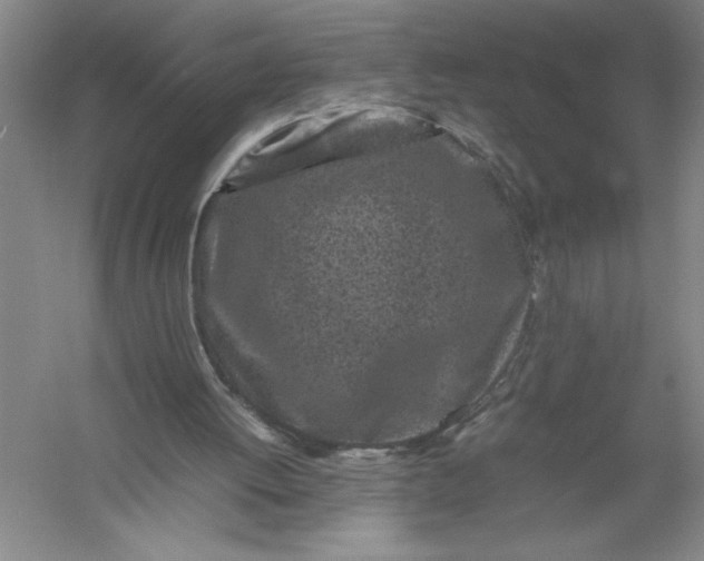 X0000054390052200508191949