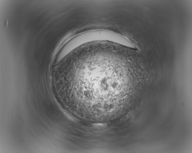 X0000054390053200508191949