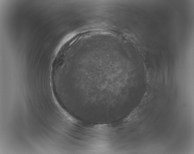 X0000054390054200508191949