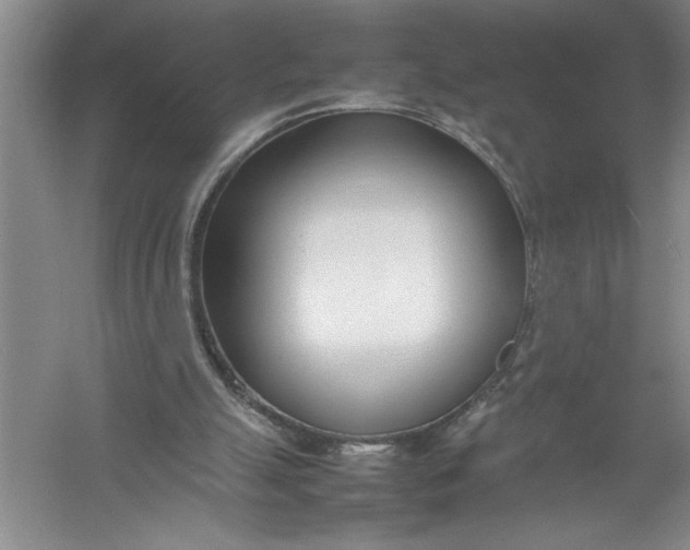 X0000054390055200508191949