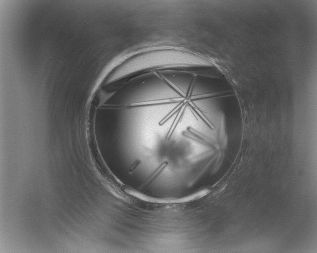 X0000054390056200508191949
