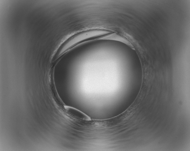 X0000054390060200508191949