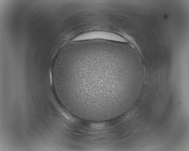 X0000054390061200508191949