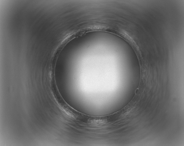 X0000054390063200508191949