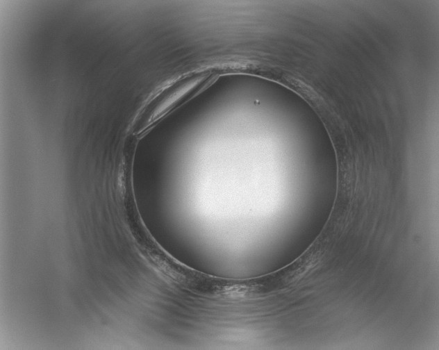 X0000054390064200508191950
