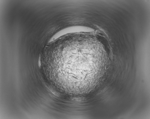 X0000054390069200508191950