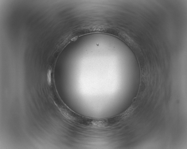 X0000054390070200508191950