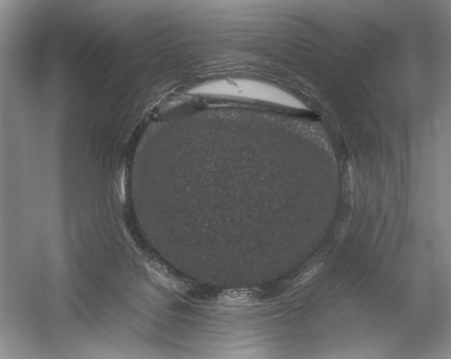 X0000054390076200508191950