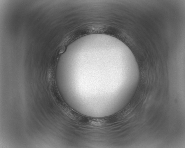 X0000054390079200508191950