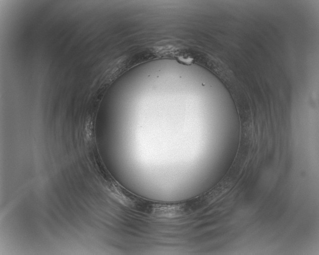 X0000054390081200508191950