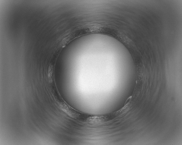 X0000054390082200508191950