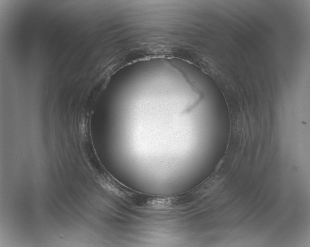 X0000054390084200508191950