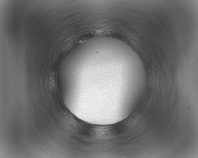 X0000054390085200508191950