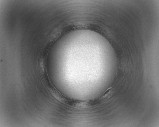 X0000054390086200508191950