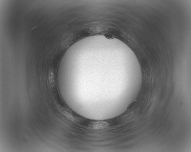 X0000054390087200508191950