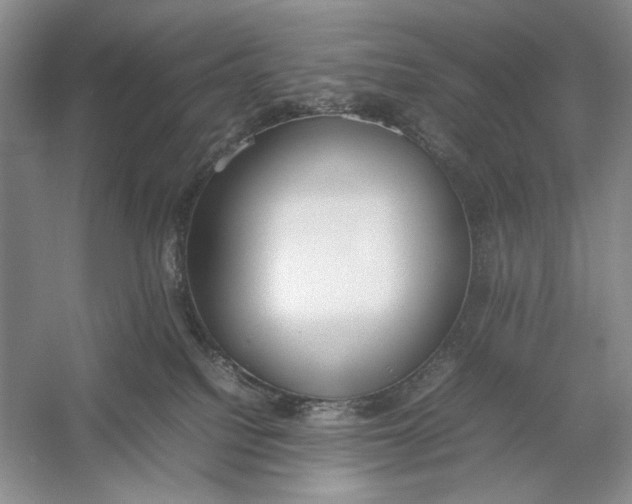 X0000054390088200508191950