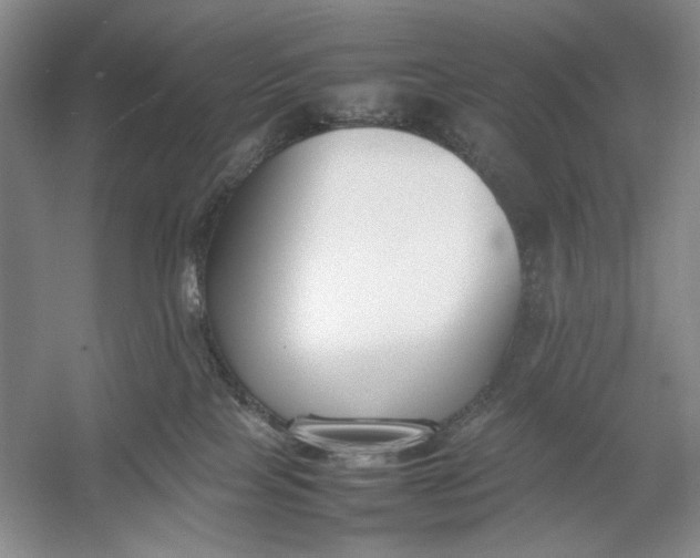 X0000054390089200508191950