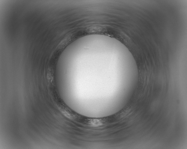 X0000054390091200508191950