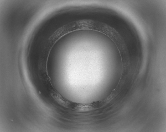 X0000054390093200508191950
