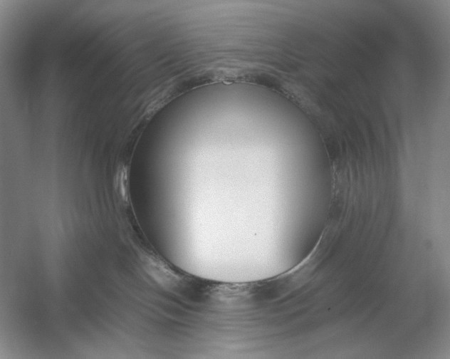 X0000054390094200508191950