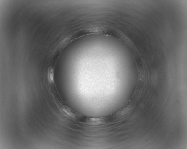 X0000054390095200508191950