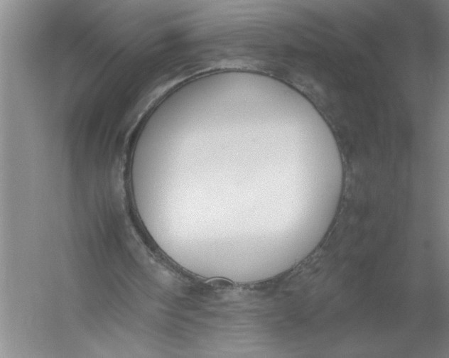 X0000054390098200508191949