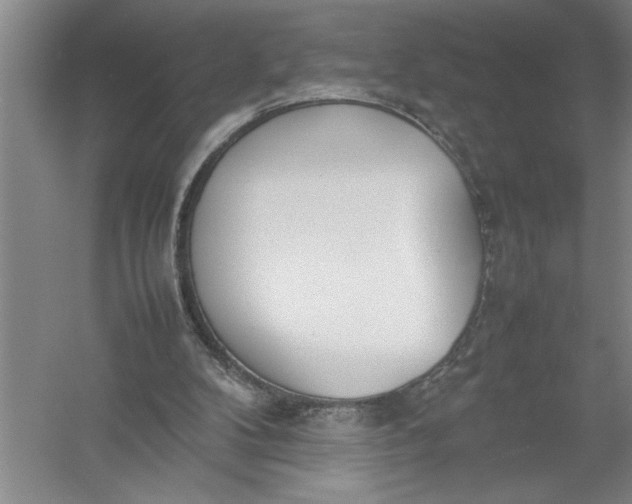 X0000054390104200508191949