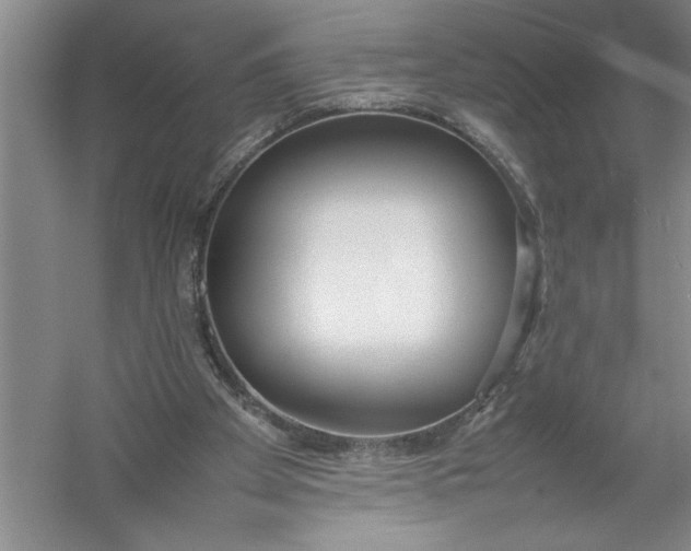 X0000054390105200508191949