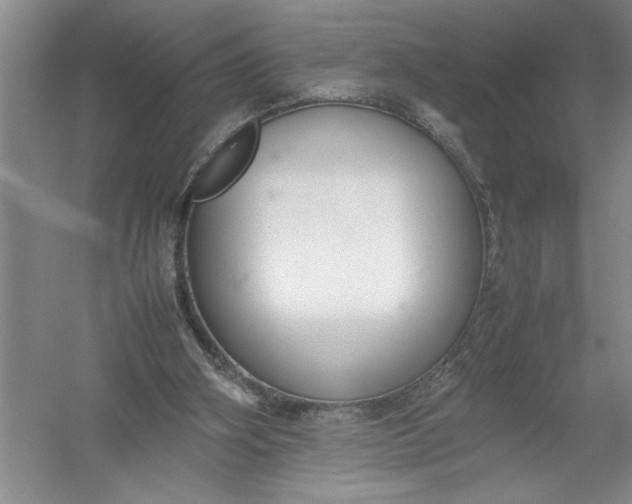 X0000054390106200508191949