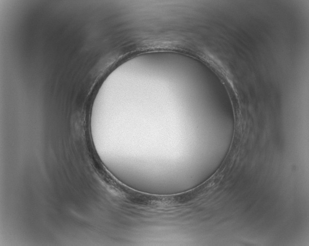 X0000054390107200508191949