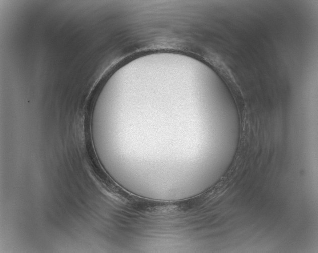 X0000054390108200508191949