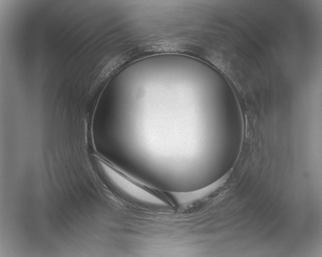 X0000054390109200508191949