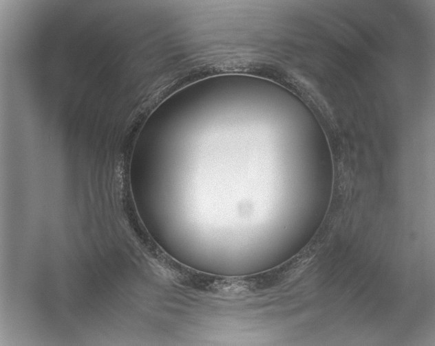 X0000054390113200508191949