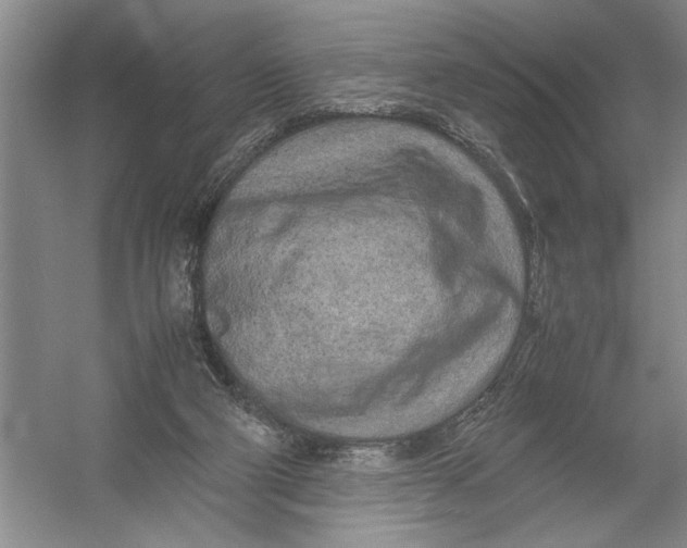 X0000054390114200508191949