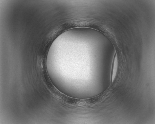 X0000054390115200508191949