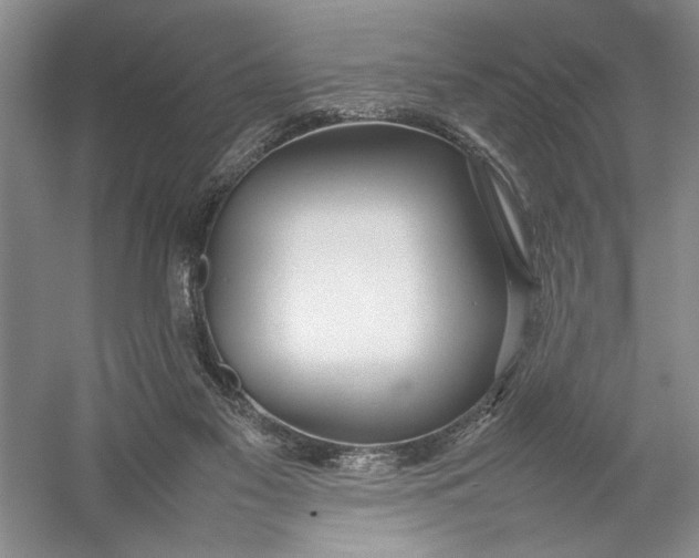X0000054390117200508191949