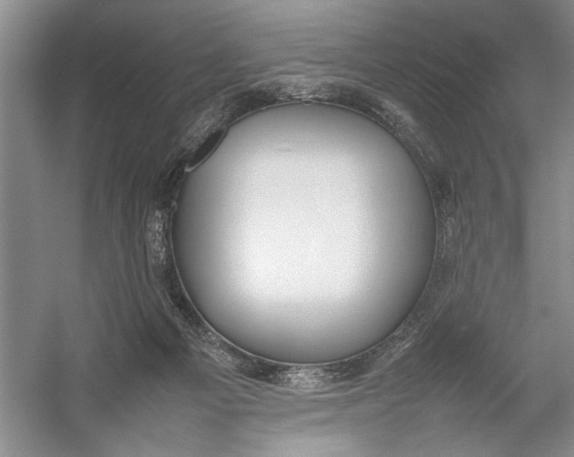X0000054390121200508191949